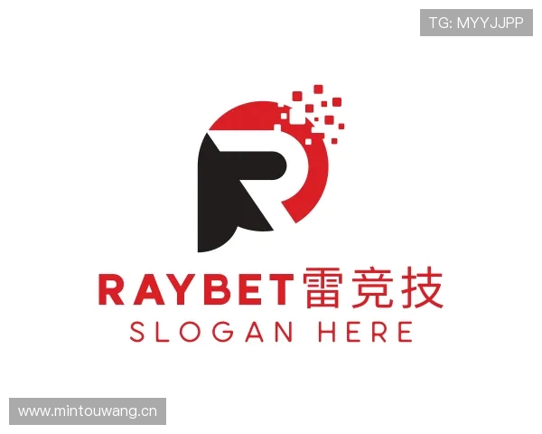 介绍雷竞技ray官网下载